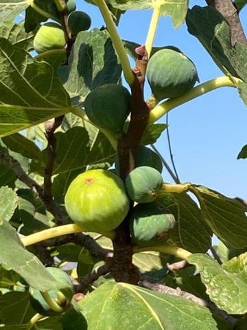 3 soverom Hus til salgs i Málaga by - € 222 700 (Ref: 9403378)