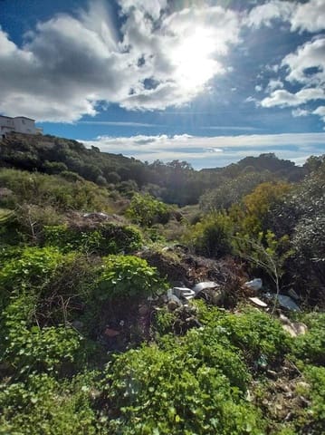 Tontti myytävänä paikassa El Padrón, Estepona - 137 270 € (Ref: 9503385)