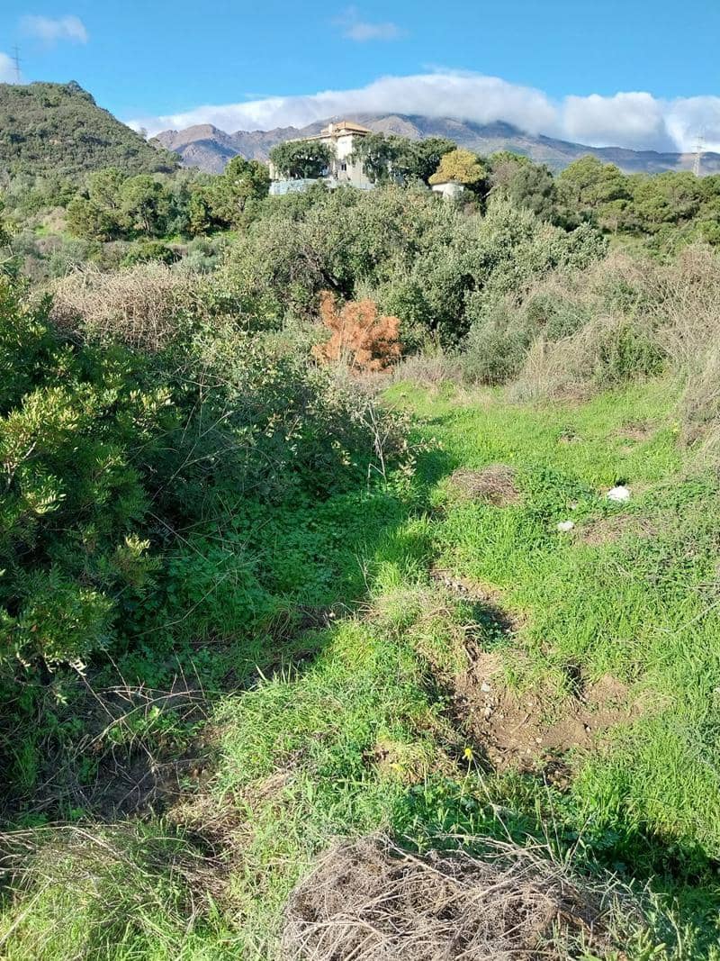 Tontti myytävänä paikassa El Padron - 137 270 € (Ref: 9503385)