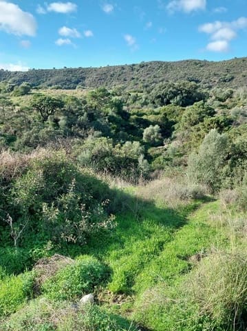 Tontti myytävänä paikassa El Padrón, Estepona - 137 270 € (Ref: 9503385)