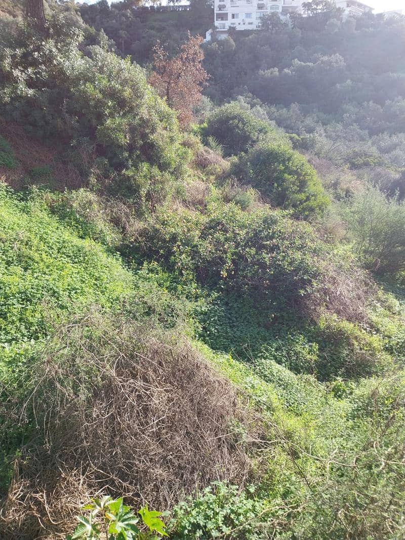 Byggetomt til salgs i El Padron - € 129 440 (Ref: 9506917)