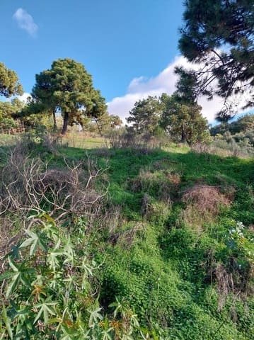 Byggetomt til salgs i El Padrón, Estepona - € 129 440 (Ref: 9506917)