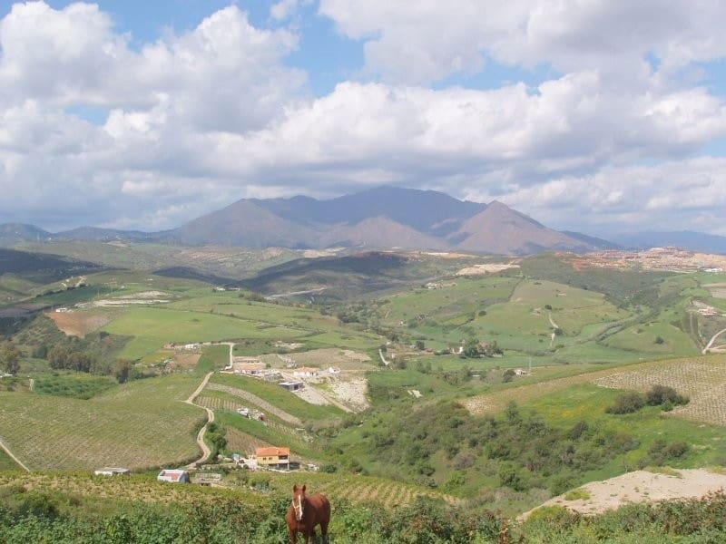 Byggegrund til salg i Manilva - € 424.200 (Ref: 9532817)