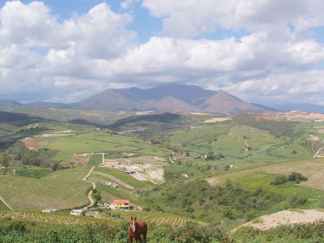 Byggetomt til salgs i Manilva - € 424 200 (Ref: 9532817)