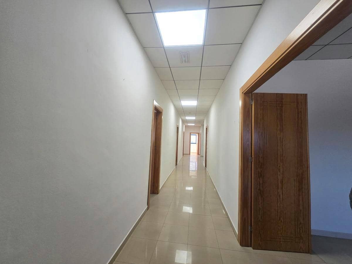 Bedrift til leie i Malaga by - € 22 000 (Ref: 9611870)