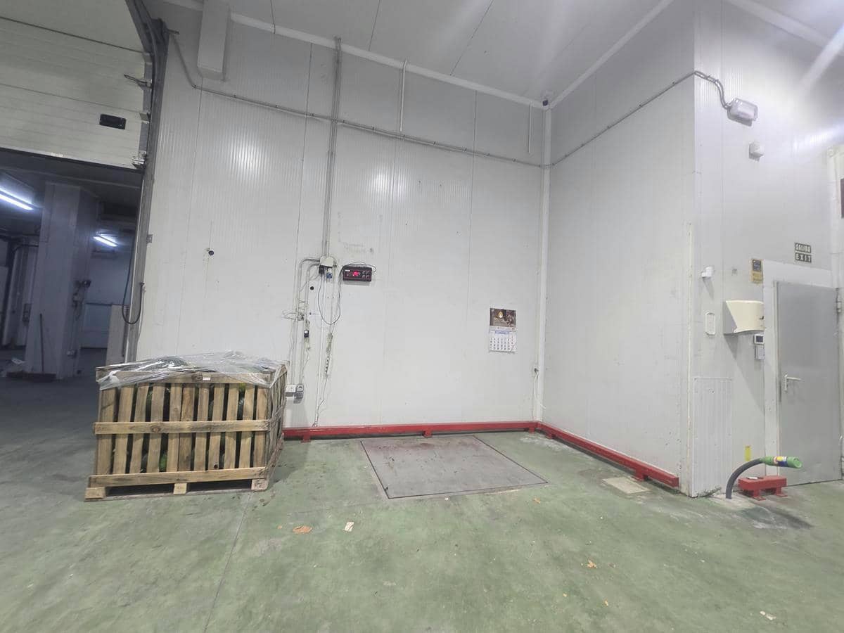 Bedrift til leie i Malaga by - € 22 000 (Ref: 9611870)