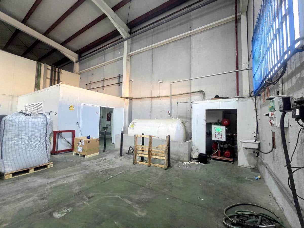 Bedrift til leie i Malaga by - € 22 000 (Ref: 9611870)