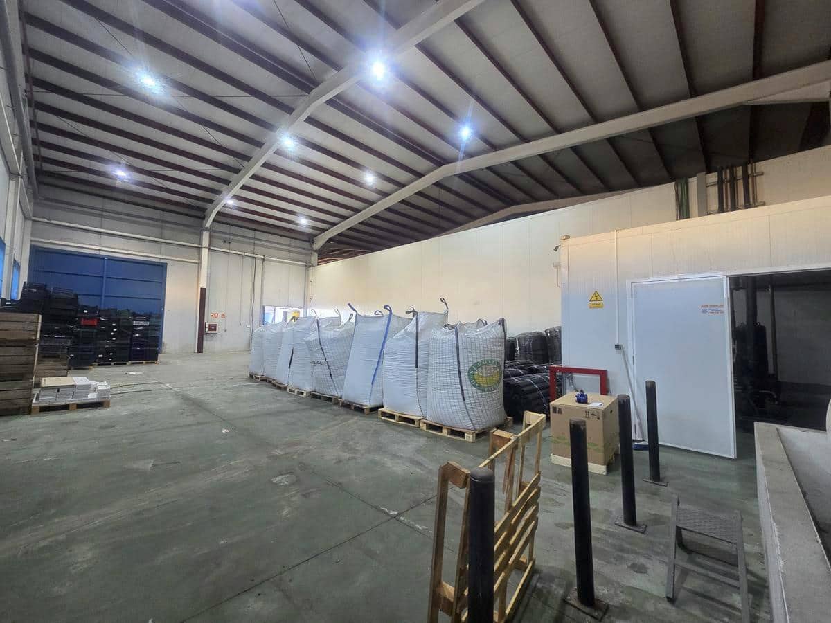 Bedrift til leie i Malaga by - € 22 000 (Ref: 9611870)