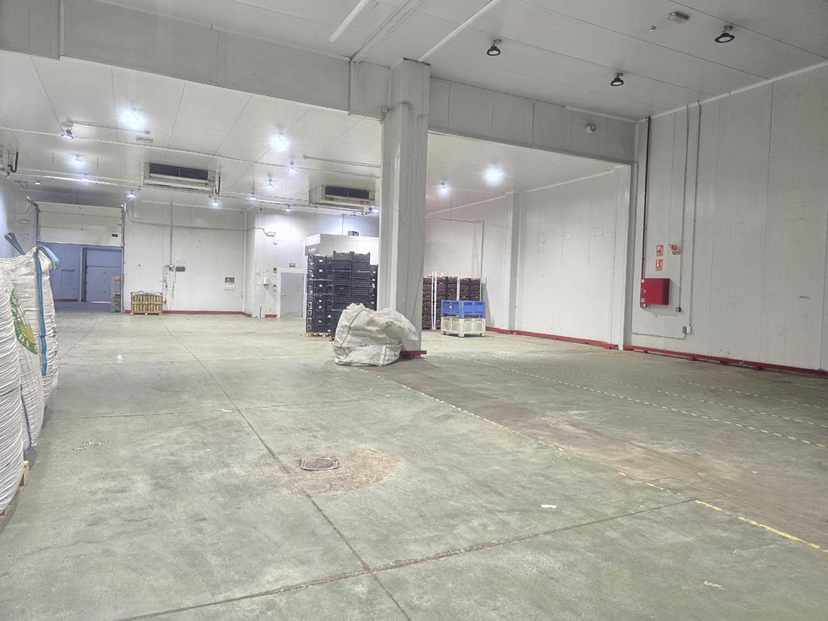 Bedrift til leie i Malaga by - € 22 000 (Ref: 9611870)