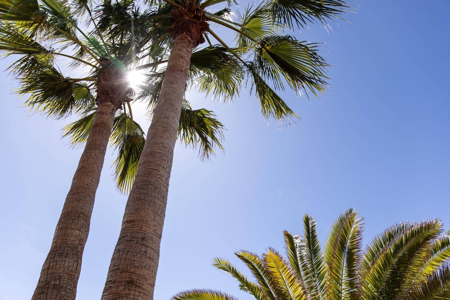 9 soverom Villa til salgs i Chio med svømmebasseng garasje - € 7 700 000 (Ref: 8929464)