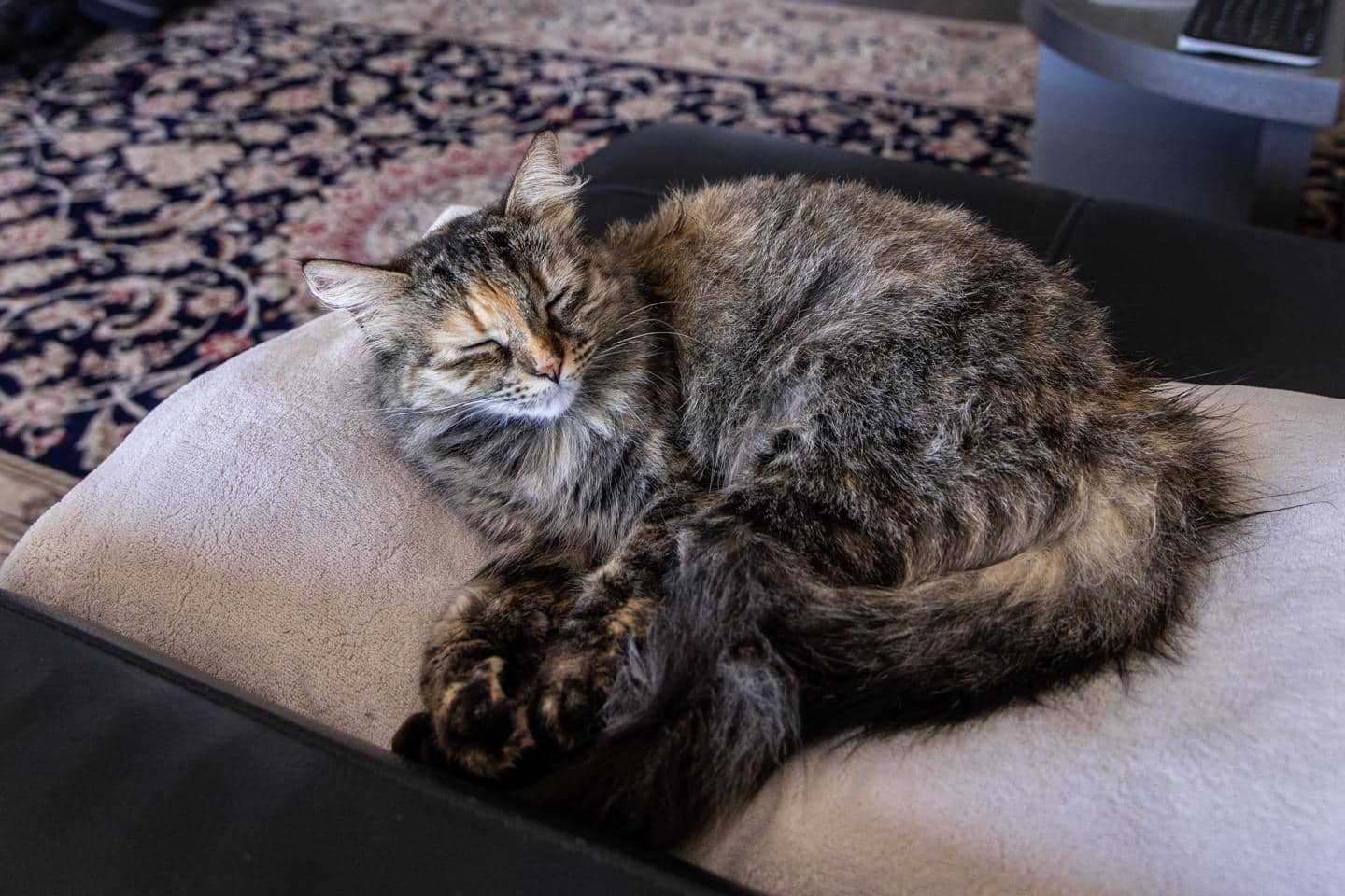 9 soverom Villa til salgs i Chio med svømmebasseng garasje - € 7 700 000 (Ref: 8929464)