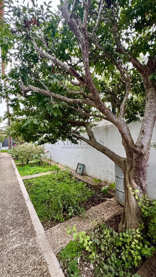 7 sypialnia Willa na sprzedaż w San Cristobal de La Laguna - 795 000 € (Ref: 9337281)