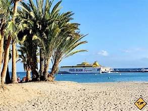 Restaurant/Bar for sale in Los Cristianos, Arona - € 110,000 (Ref: 10019679)