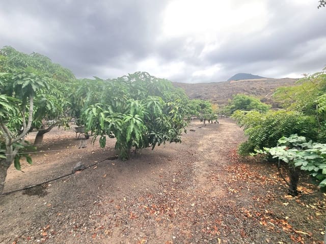 5 Zimmer Finca/Landgut zu verkaufen in Guía de Isora mit Pool Garage - 795.500 € (Ref: 10166876)