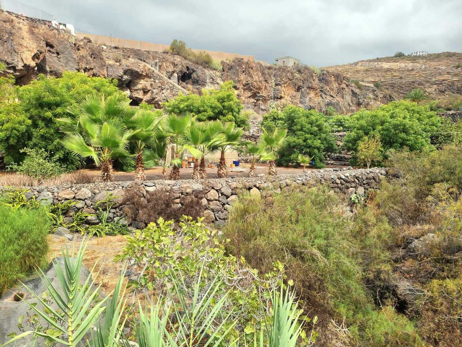 5 Zimmer Finca/Landgut zu verkaufen in Guia de Isora mit Pool Garage - 795.500 € (Ref: 10166876)