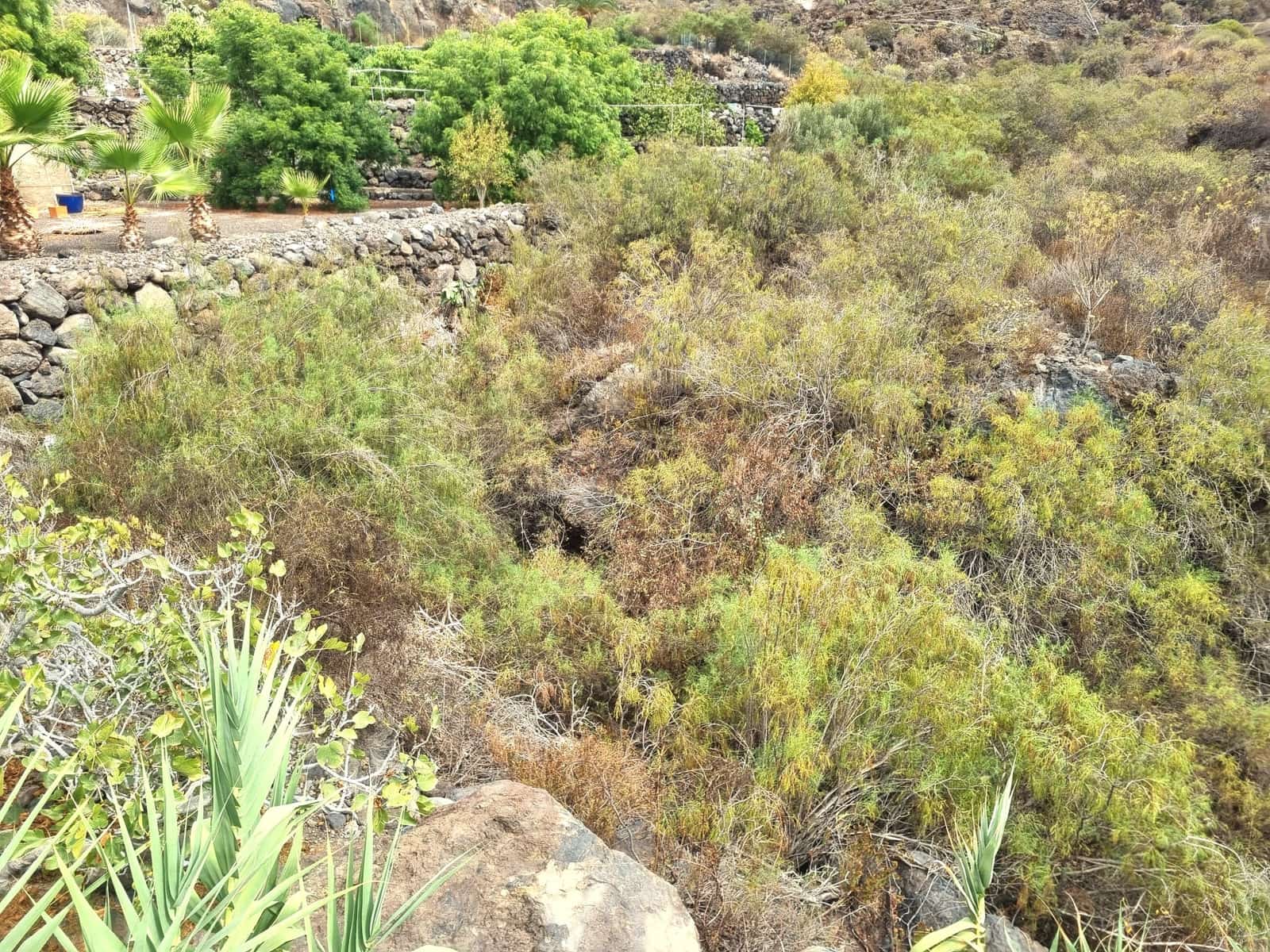 5 Zimmer Finca/Landgut zu verkaufen in Guia de Isora mit Pool Garage - 795.500 € (Ref: 10166876)