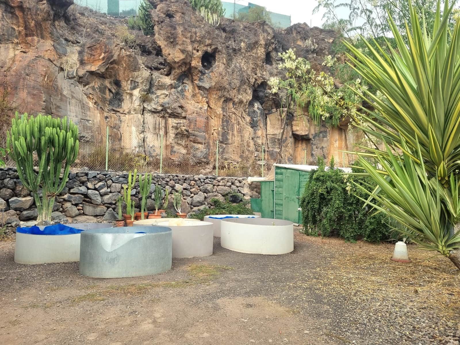 5 Zimmer Finca/Landgut zu verkaufen in Guia de Isora mit Pool Garage - 795.500 € (Ref: 10166876)