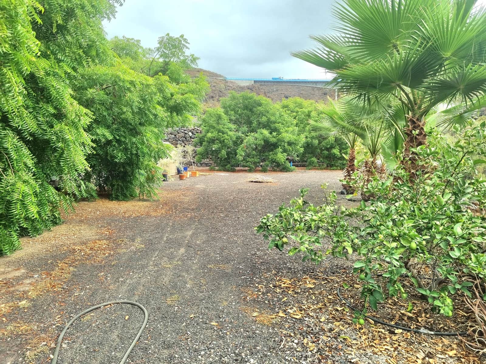 5 Zimmer Finca/Landgut zu verkaufen in Guia de Isora mit Pool Garage - 795.500 € (Ref: 10166876)