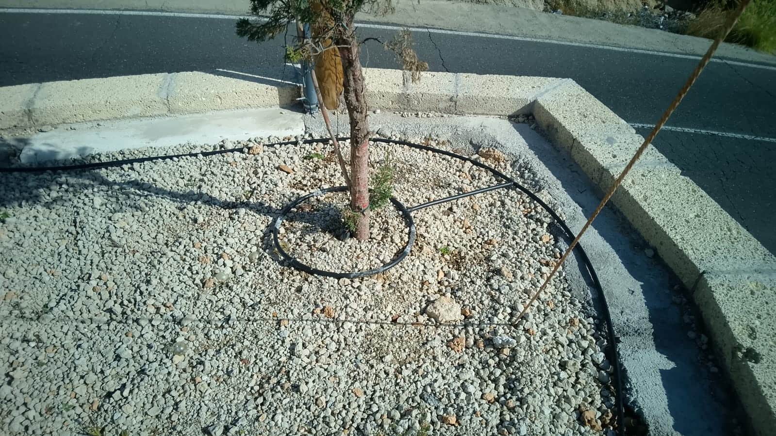 Undeveloped Land for sale in Granadilla de Abona - € 181,500 (Ref: 9618060)