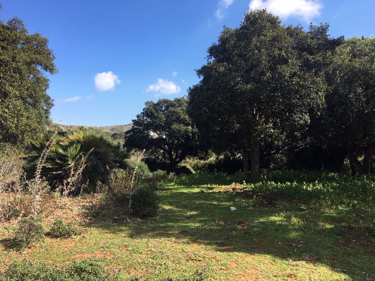 Grunde uden byggetilladelser til salg i Manilva - € 2.200.000 (Ref: 6575638)