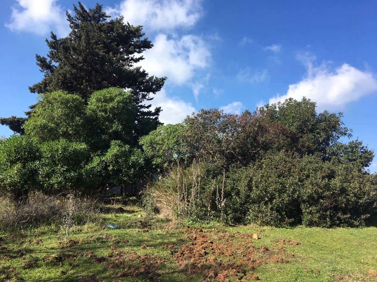 Grunde uden byggetilladelser til salg i Manilva - € 2.200.000 (Ref: 6575638)