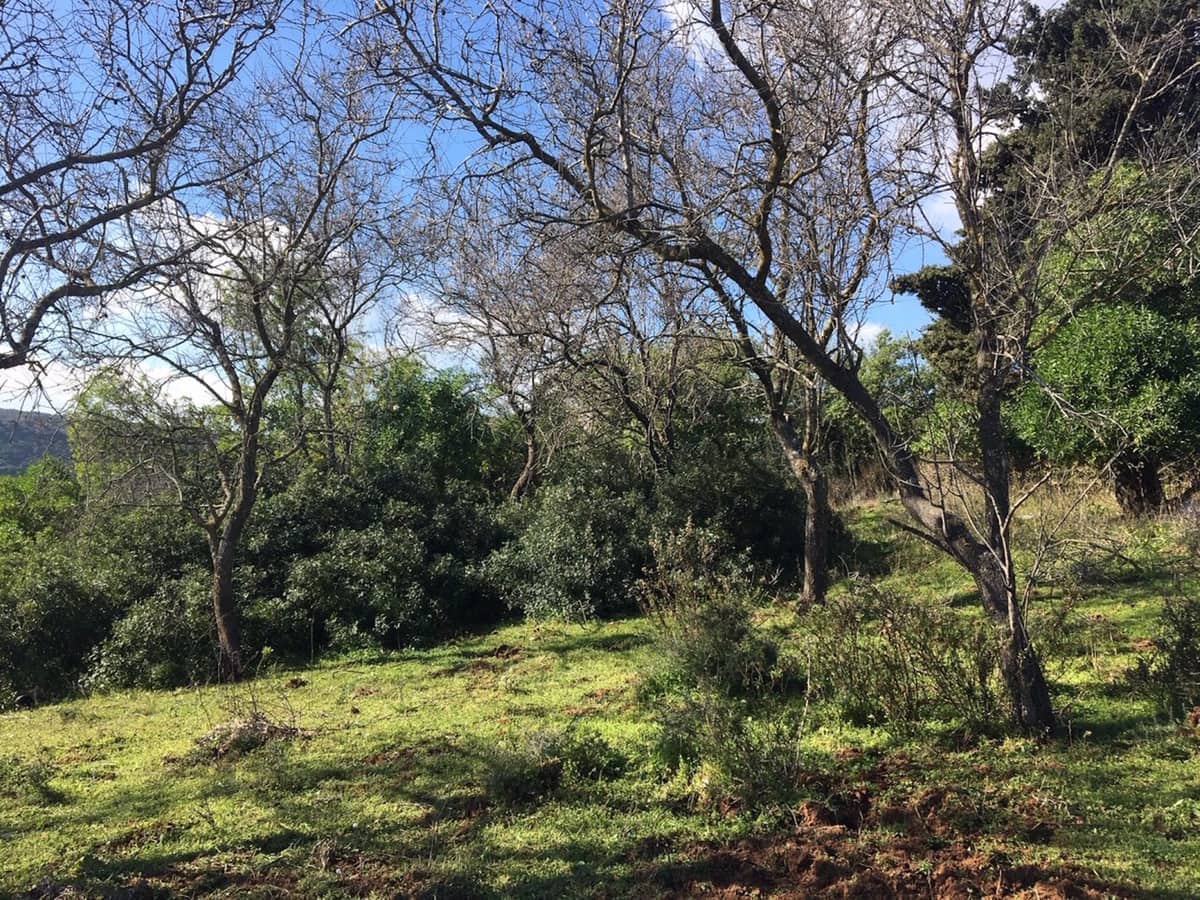 Grunde uden byggetilladelser til salg i Manilva - € 2.200.000 (Ref: 6575638)