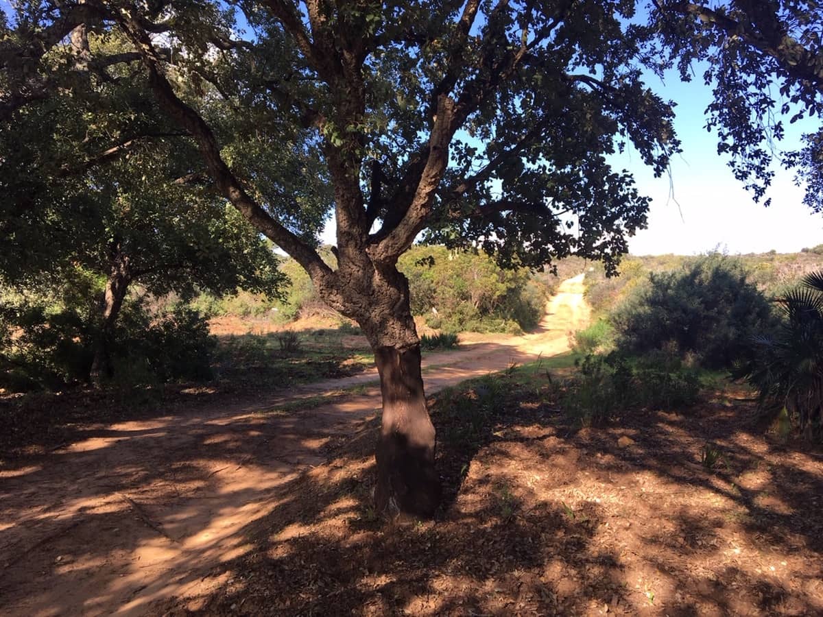 Grunde uden byggetilladelser til salg i Manilva - € 2.200.000 (Ref: 6575638)