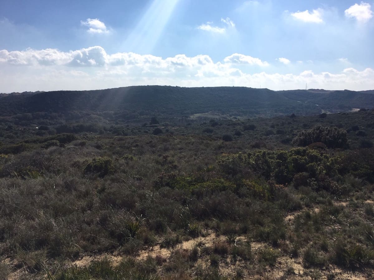 Grunde uden byggetilladelser til salg i Manilva - € 2.200.000 (Ref: 6575638)