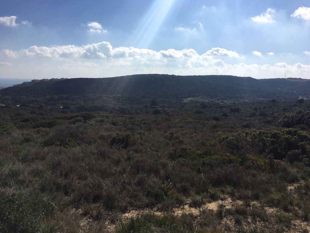 Grunde uden byggetilladelser til salg i Manilva - € 2.200.000 (Ref: 6575638)