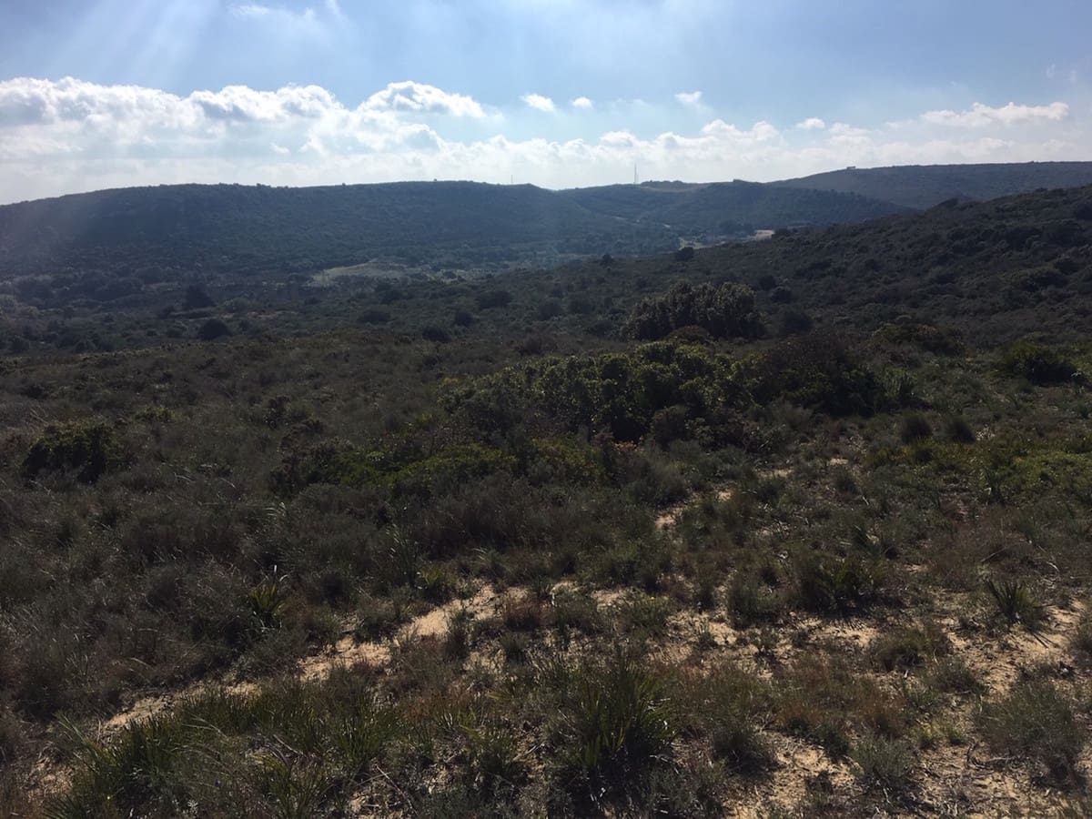 Grunde uden byggetilladelser til salg i Manilva - € 2.200.000 (Ref: 6575638)