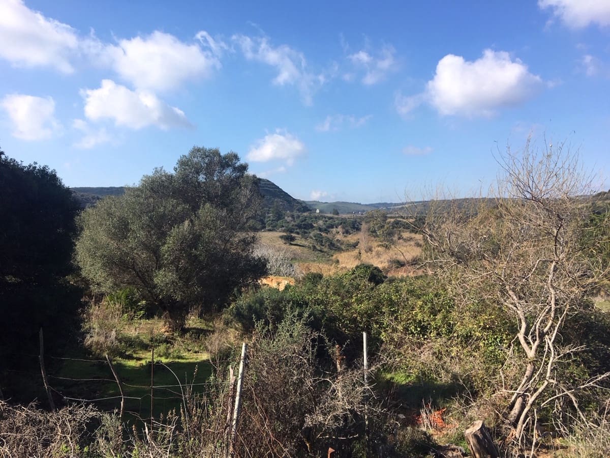 Grunde uden byggetilladelser til salg i Manilva - € 2.200.000 (Ref: 6575638)