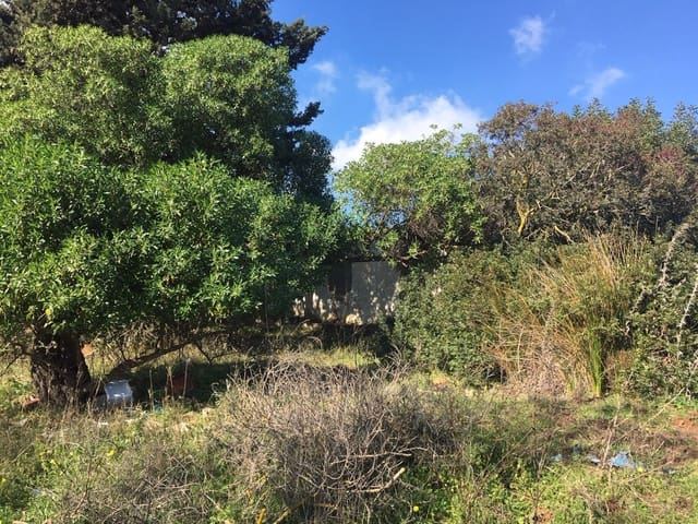 Undeveloped Land for sale in Manilva Pueblo, Manilva - € 2,200,000 (Ref: 6575638)