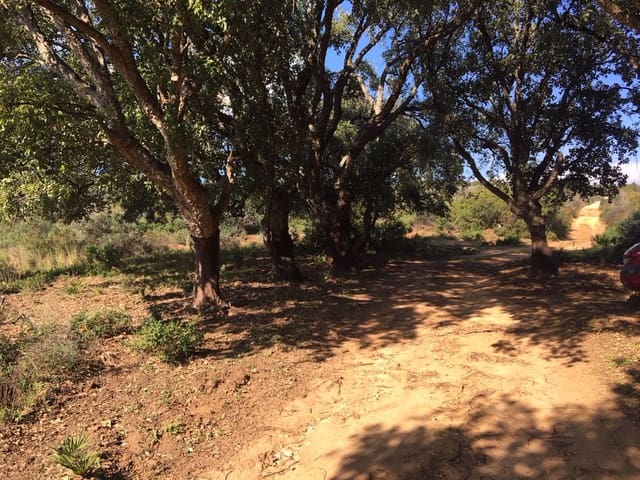 Undeveloped Land for sale in Manilva Pueblo, Manilva - € 2,200,000 (Ref: 6575638)