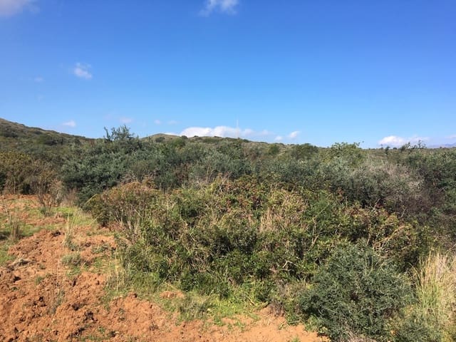Undeveloped Land for sale in Manilva Pueblo, Manilva - € 2,200,000 (Ref: 6575638)