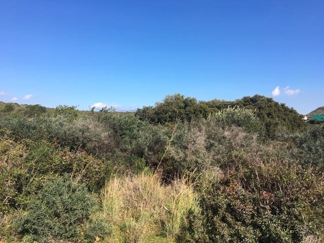 Undeveloped Land for sale in Manilva Pueblo, Manilva - € 2,200,000 (Ref: 6575638)