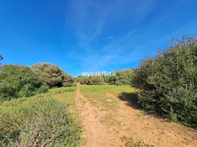 Grunde uden byggetilladelser til salg i San Roque Pueblo, San Roque - € 1.040.000 (Ref: 6575679)