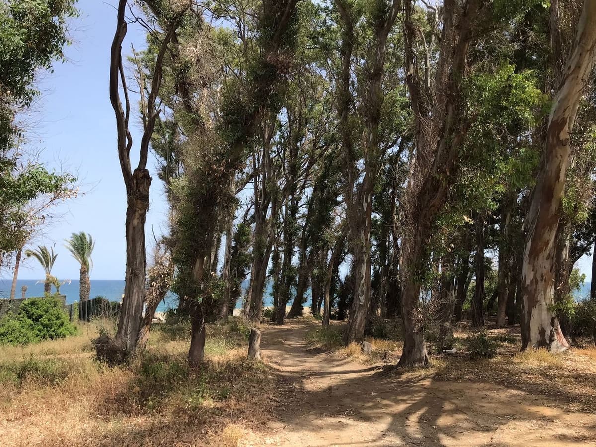 Grunde uden byggetilladelser til salg i Manilva - € 20.000.000 (Ref: 7082518)