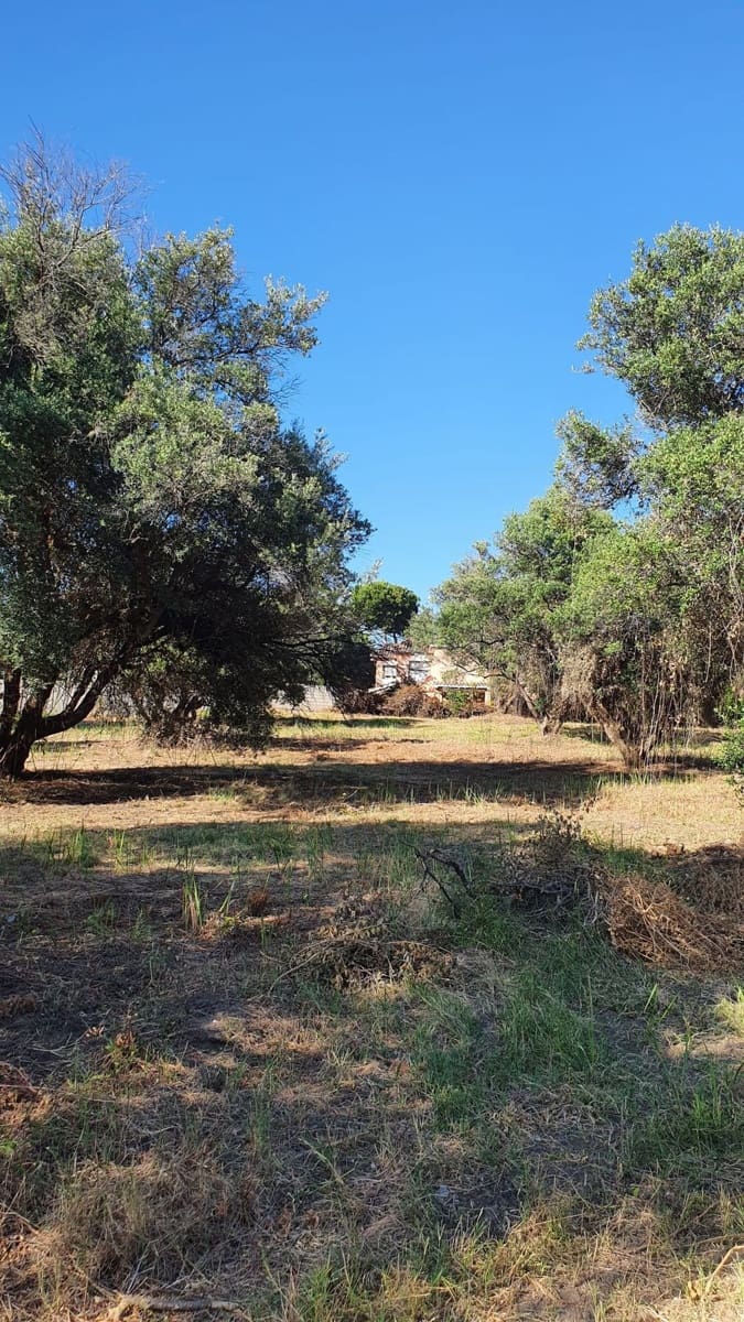 Grunde uden byggetilladelser til salg i San Pedro de Alcantara - € 3.060.000 (Ref: 7108064)