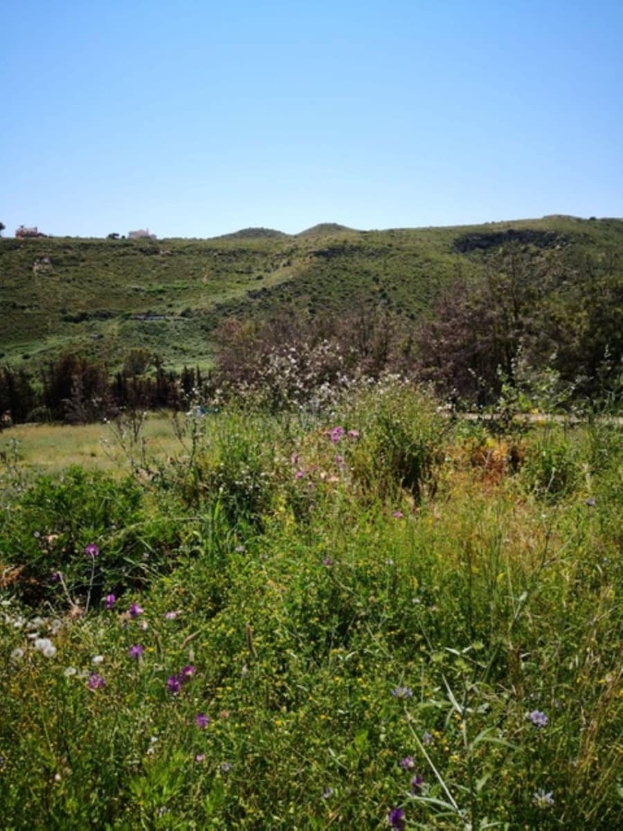 Teren niezagospodarowany na sprzedaż w Manilva - 1 599 000 € (Ref: 7108069)