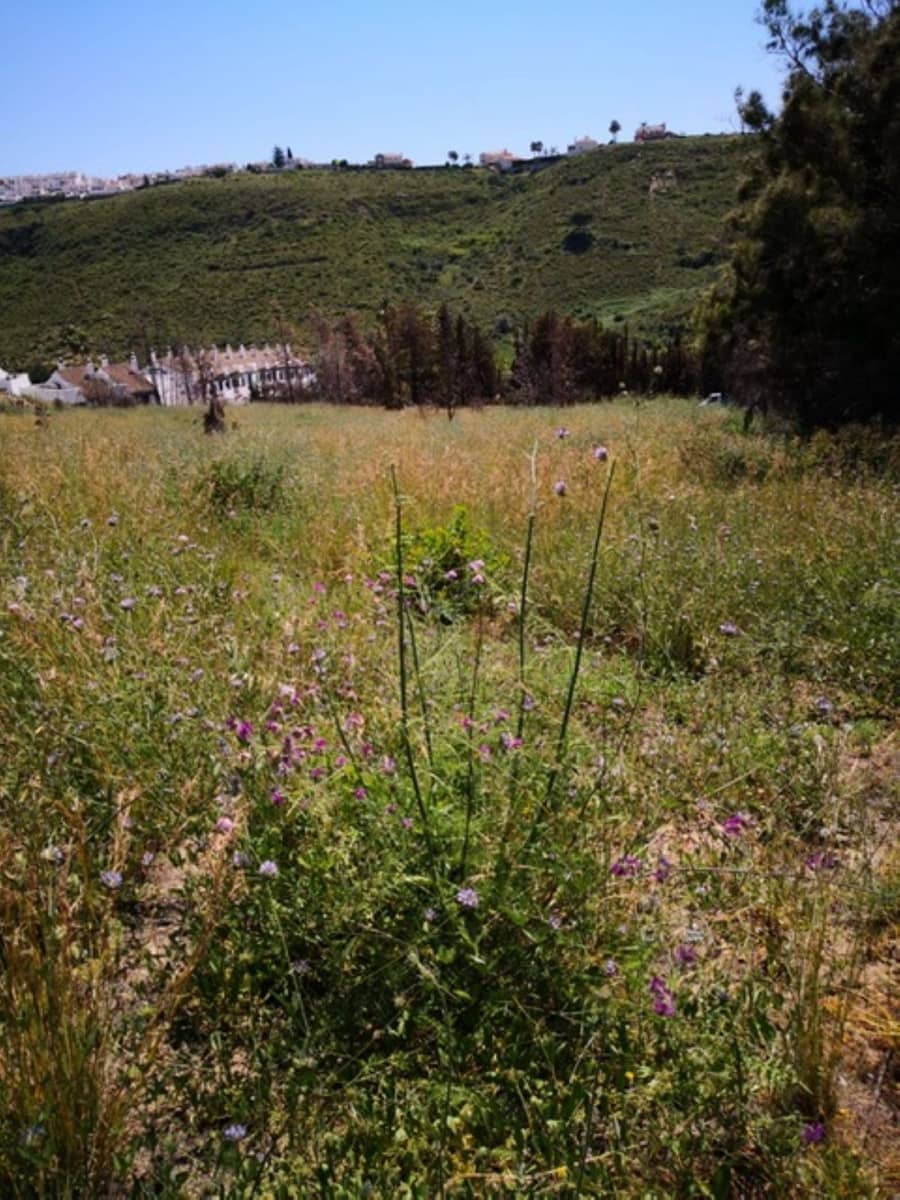 Teren niezagospodarowany na sprzedaż w Manilva - 1 599 000 € (Ref: 7108069)