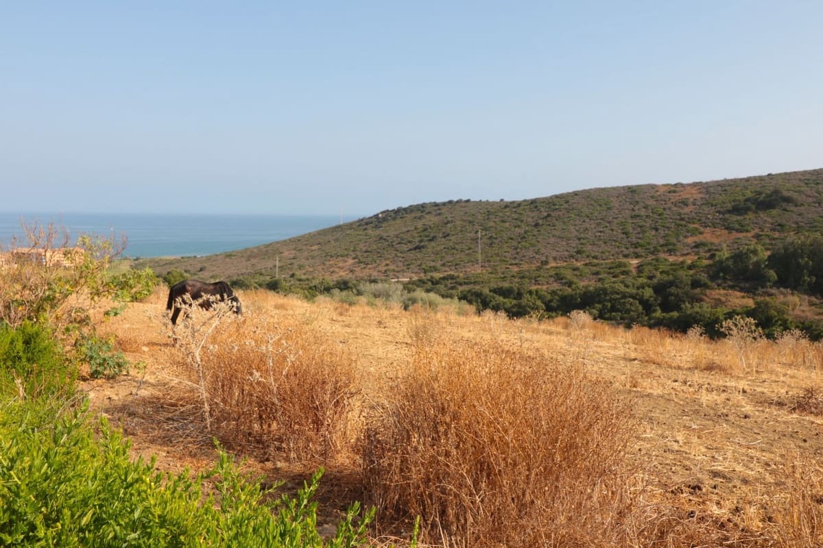 Ruin til salg i Manilva - € 2.295.000 (Ref: 7108070)