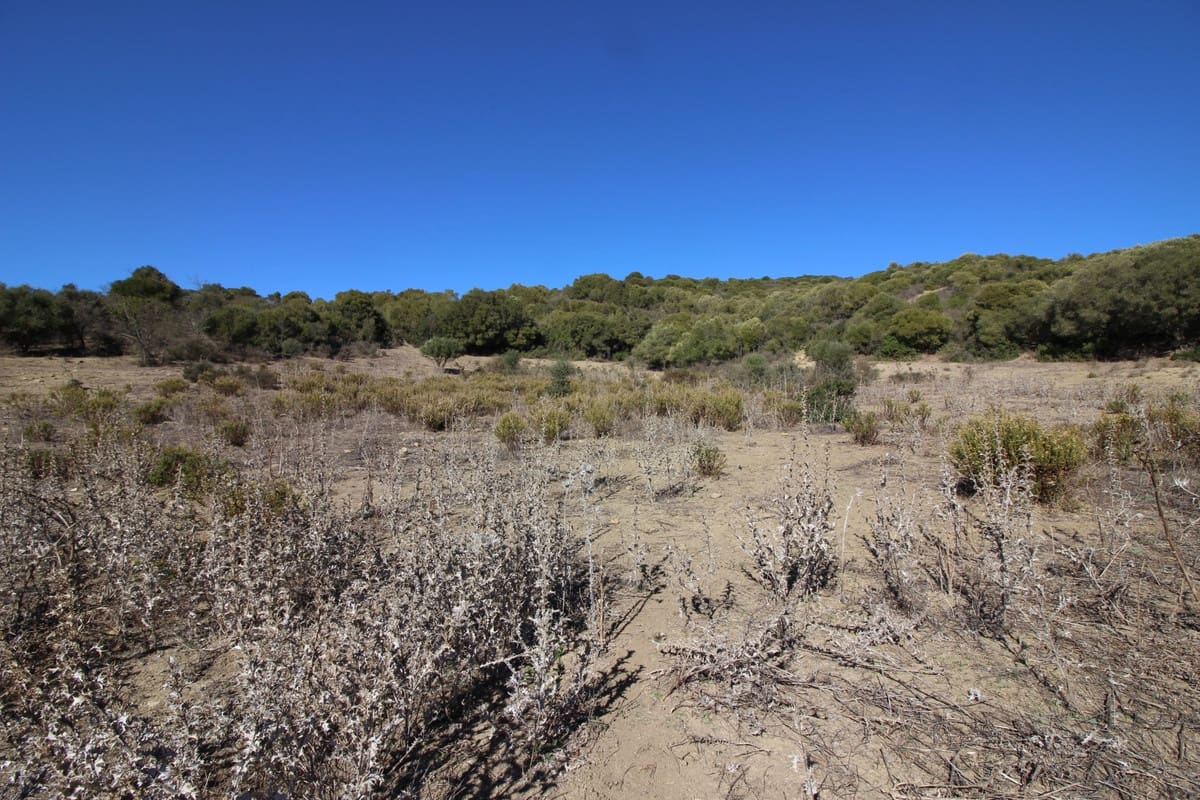 Grunde uden byggetilladelser til salg i San Martin del Tesorillo - € 3.900.000 (Ref: 7109957)