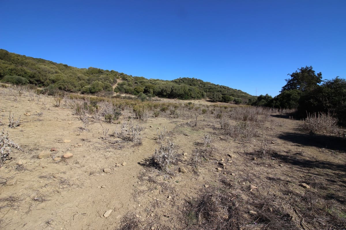 Grunde uden byggetilladelser til salg i San Martin del Tesorillo - € 3.900.000 (Ref: 7109957)