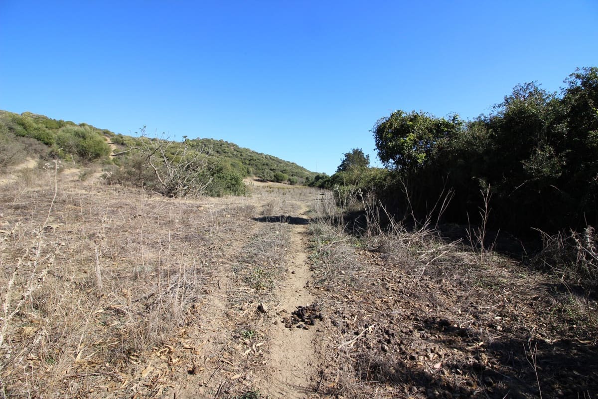 Grunde uden byggetilladelser til salg i San Martin del Tesorillo - € 3.900.000 (Ref: 7109957)