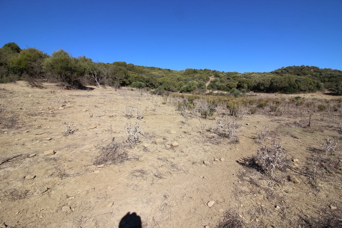 Grunde uden byggetilladelser til salg i San Martin del Tesorillo - € 3.900.000 (Ref: 7109957)