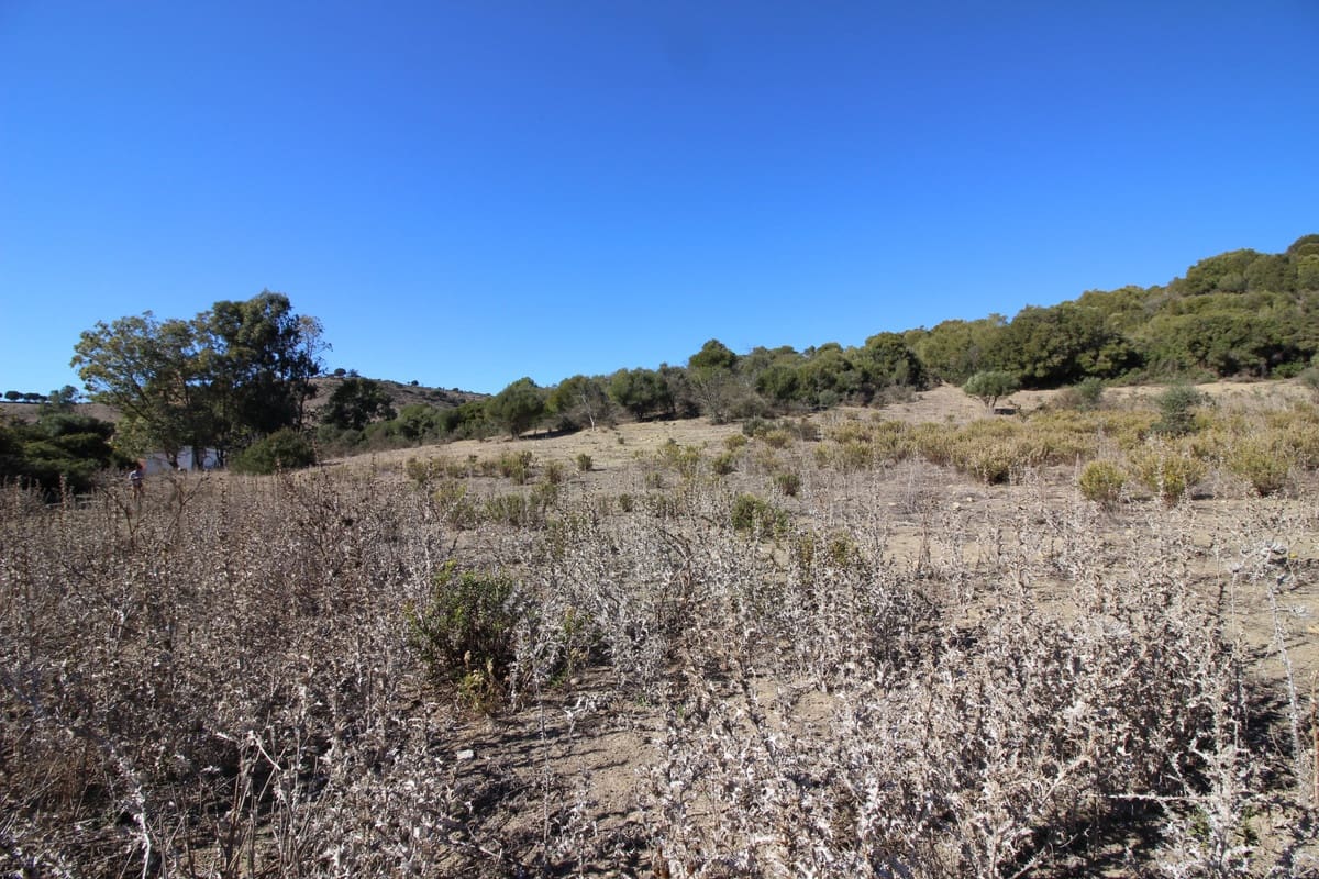 Grunde uden byggetilladelser til salg i San Martin del Tesorillo - € 3.900.000 (Ref: 7109957)