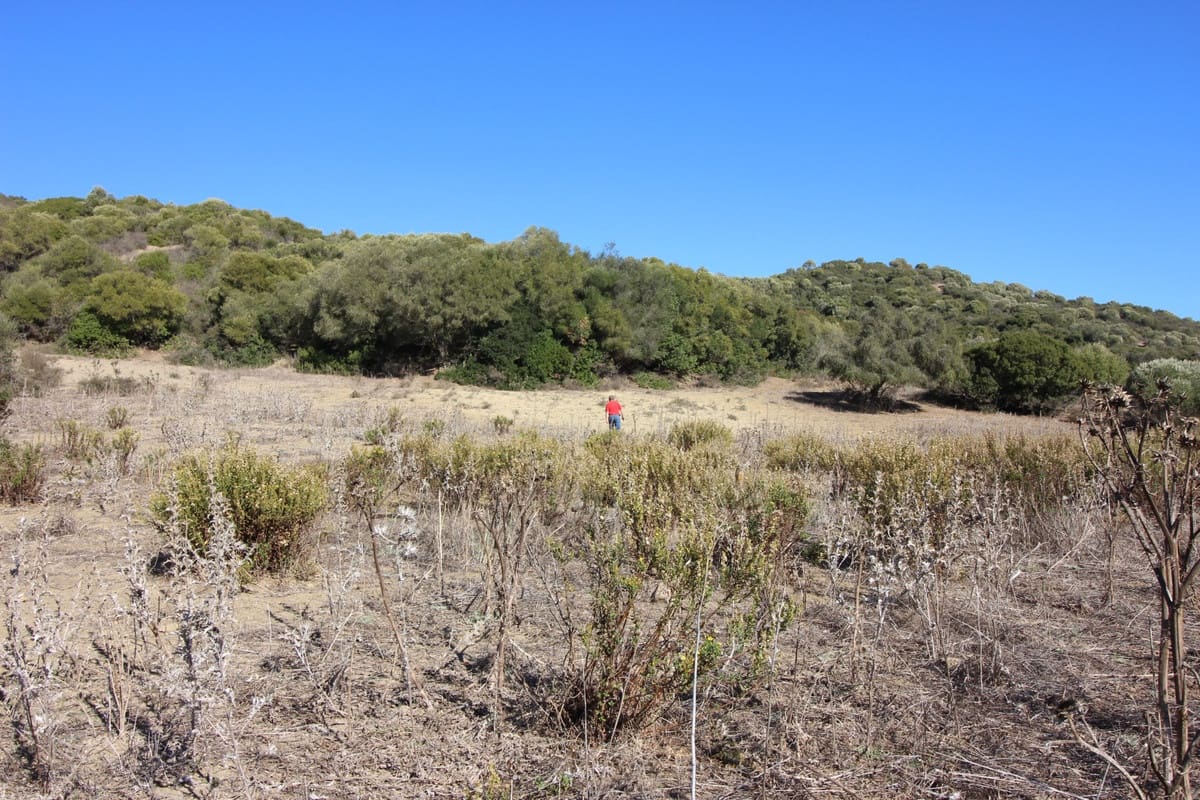 Grunde uden byggetilladelser til salg i San Martin del Tesorillo - € 3.900.000 (Ref: 7109957)