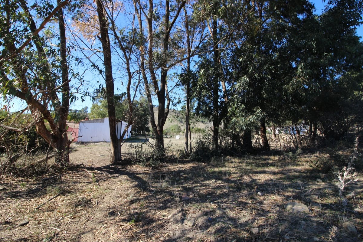 Grunde uden byggetilladelser til salg i San Martin del Tesorillo - € 3.900.000 (Ref: 7109957)