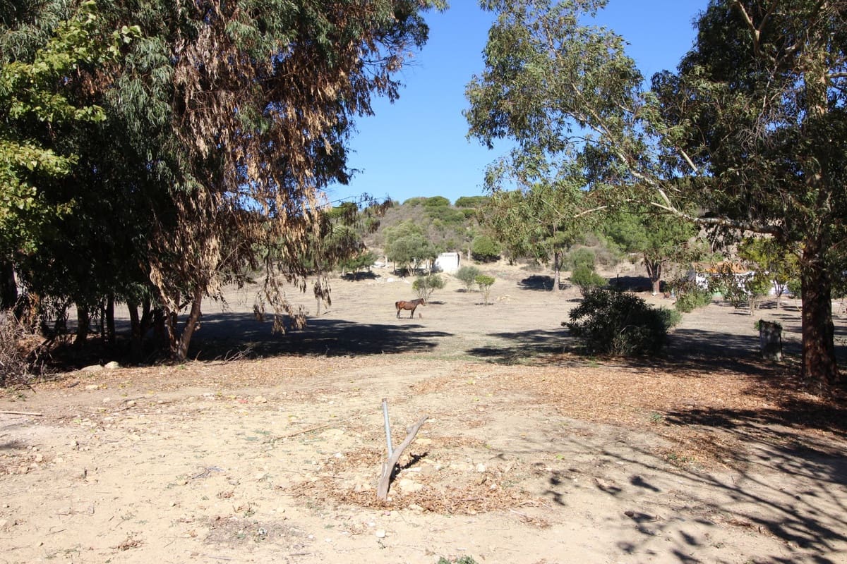 Grunde uden byggetilladelser til salg i San Martin del Tesorillo - € 3.900.000 (Ref: 7109957)