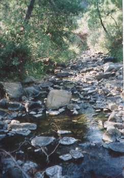 4 chambre Finca/Maison de Campagne à vendre à Centro, Estepona - 4 500 000 € (Ref: 7223604)